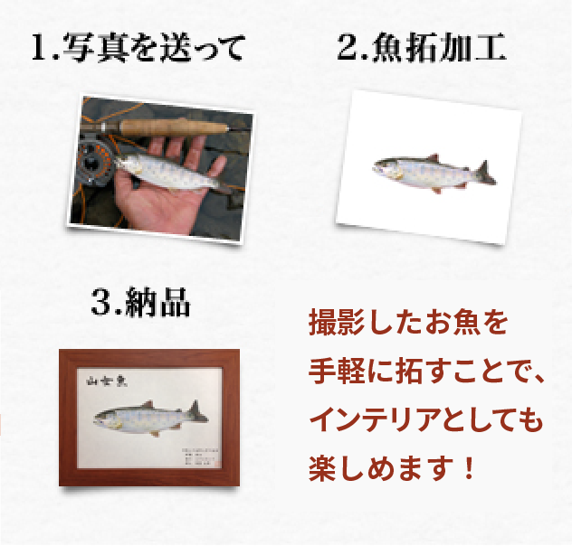 デジタル魚拓とは