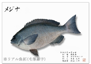 魚拓