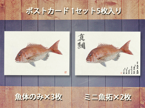 ポストカード