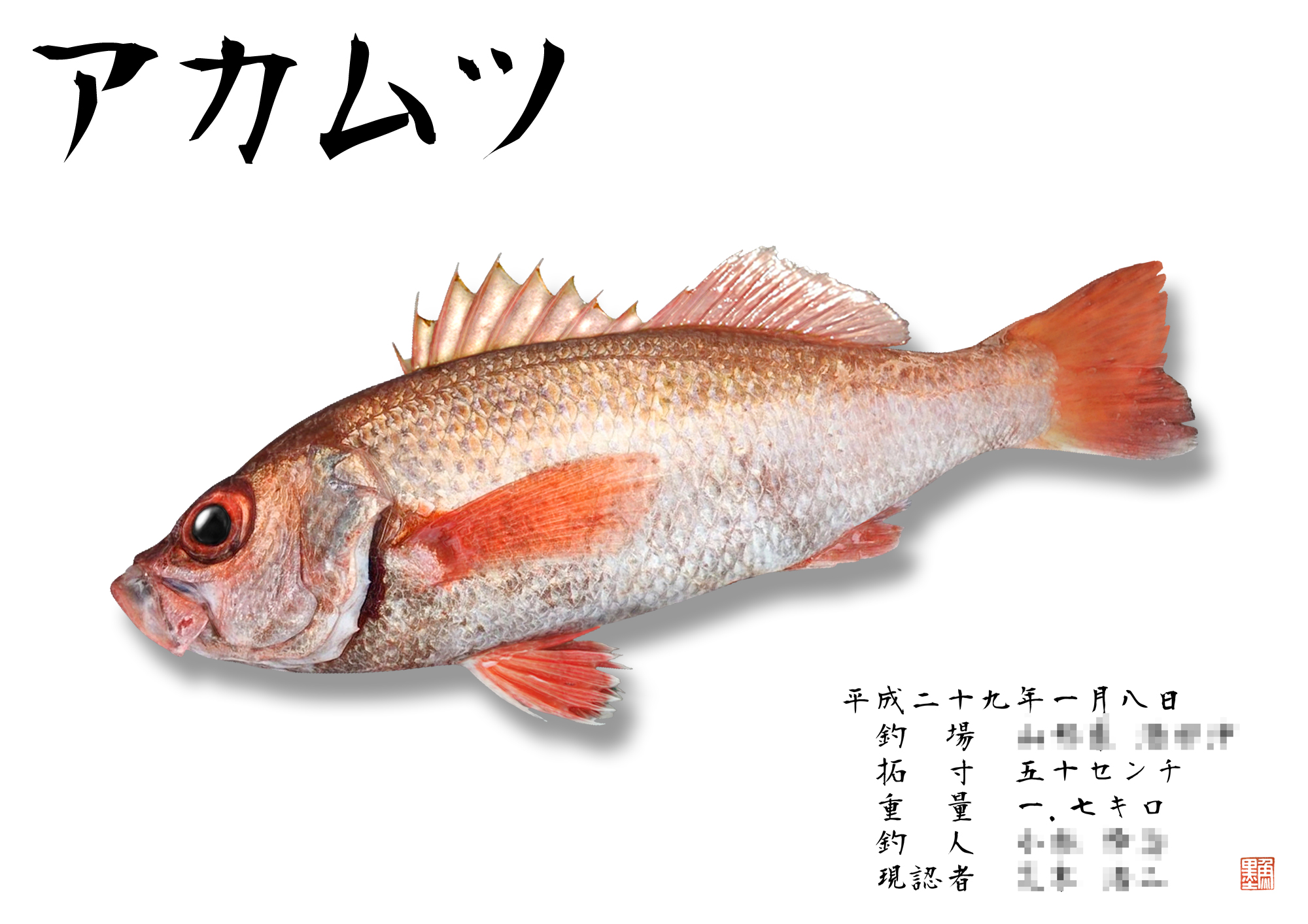 リアル魚拓