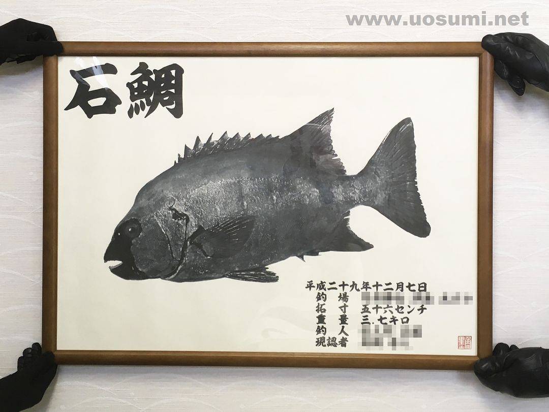 魚の写真の撮り方