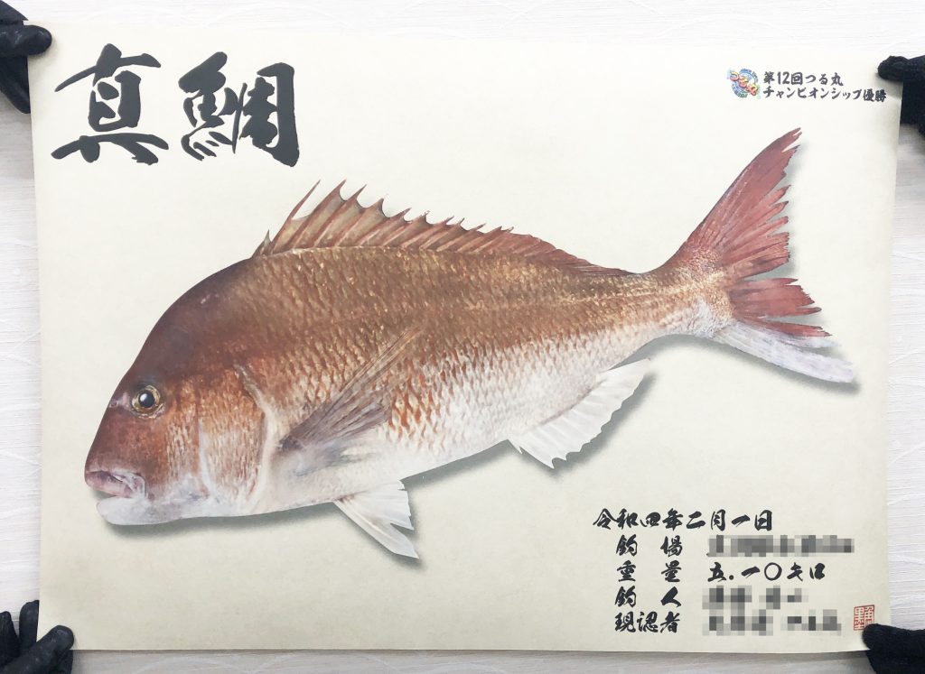 真鯛（カラー魚拓）印刷後