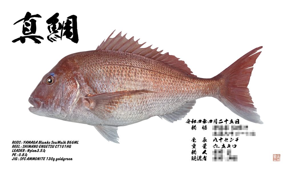 真鯛（カラー魚拓）