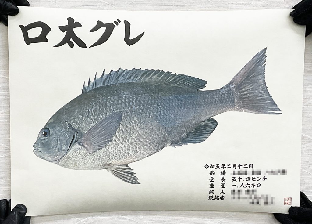 口太グレ（カラー魚拓）印刷後