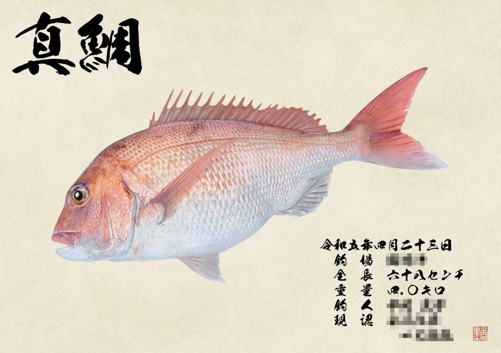 真鯛（カラー魚拓）