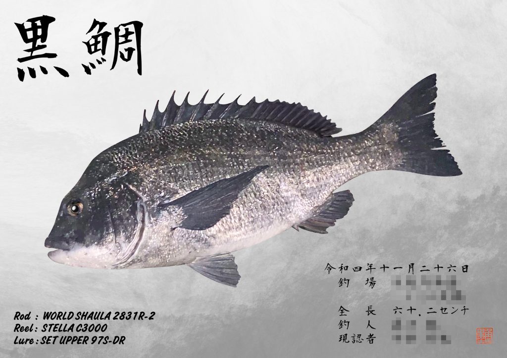 黒鯛（カラー魚拓）