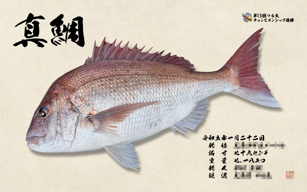 真鯛（カラー魚拓）