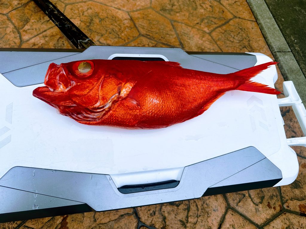 ふるさと納税 岡山県 岡山市 デジタル魚拓 A2サイズ オーダーメイド 和紙 フィッシング 釣り 魚拓[No.5220-1563] ふるさと納税 岡山県 岡山市 デジタル魚拓 A2サイズ オーダーメイド