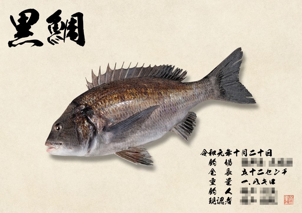 黒鯛（リアル魚拓）