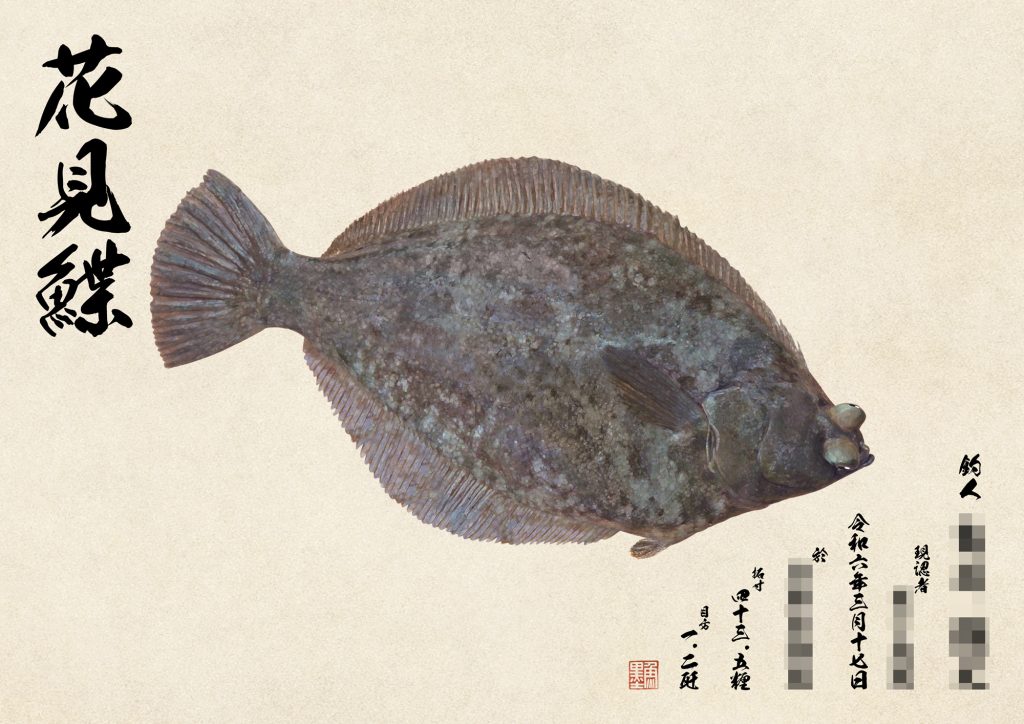 花見鰈（カラー魚拓）