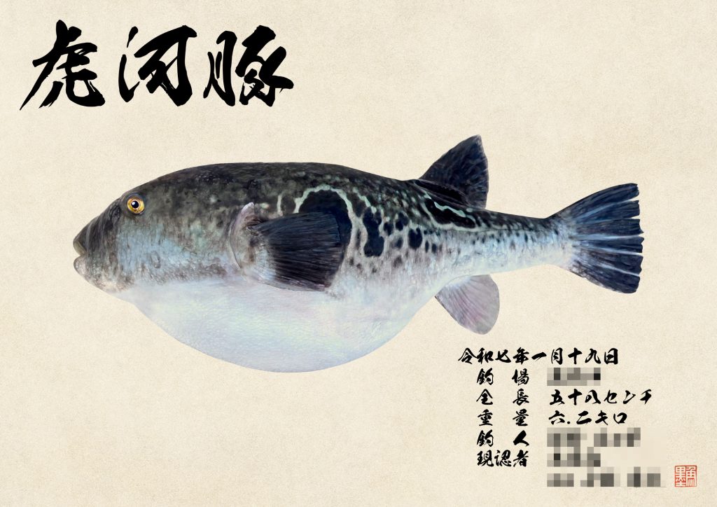 トラフグ(カラー魚拓)