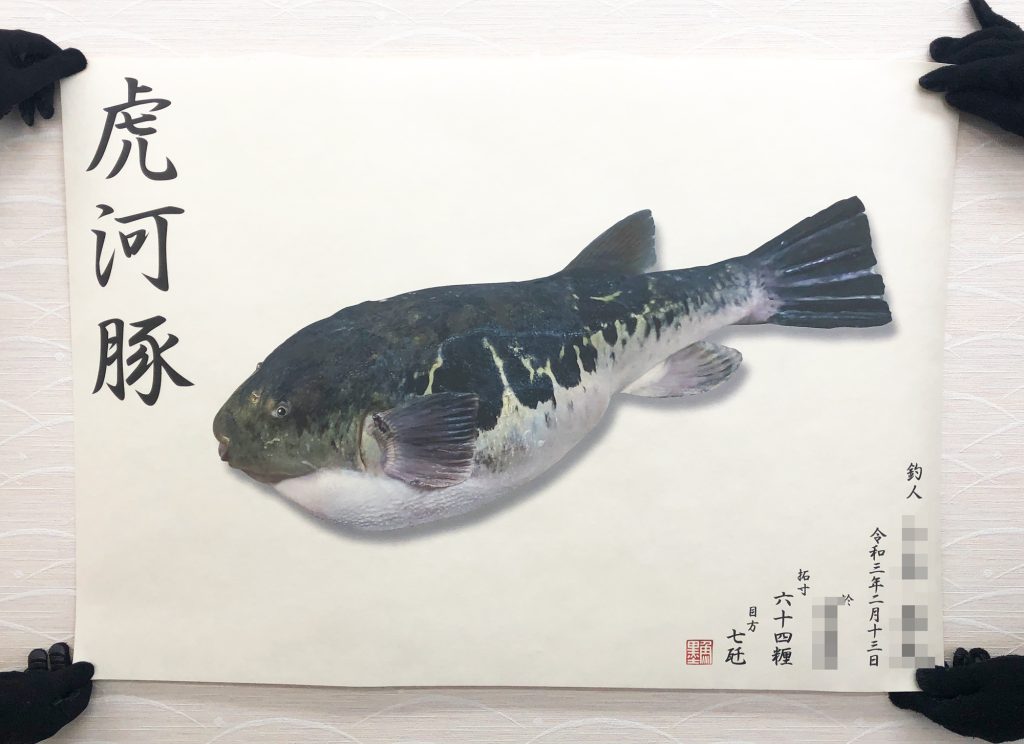 トラフグ(カラー魚拓)印刷後
