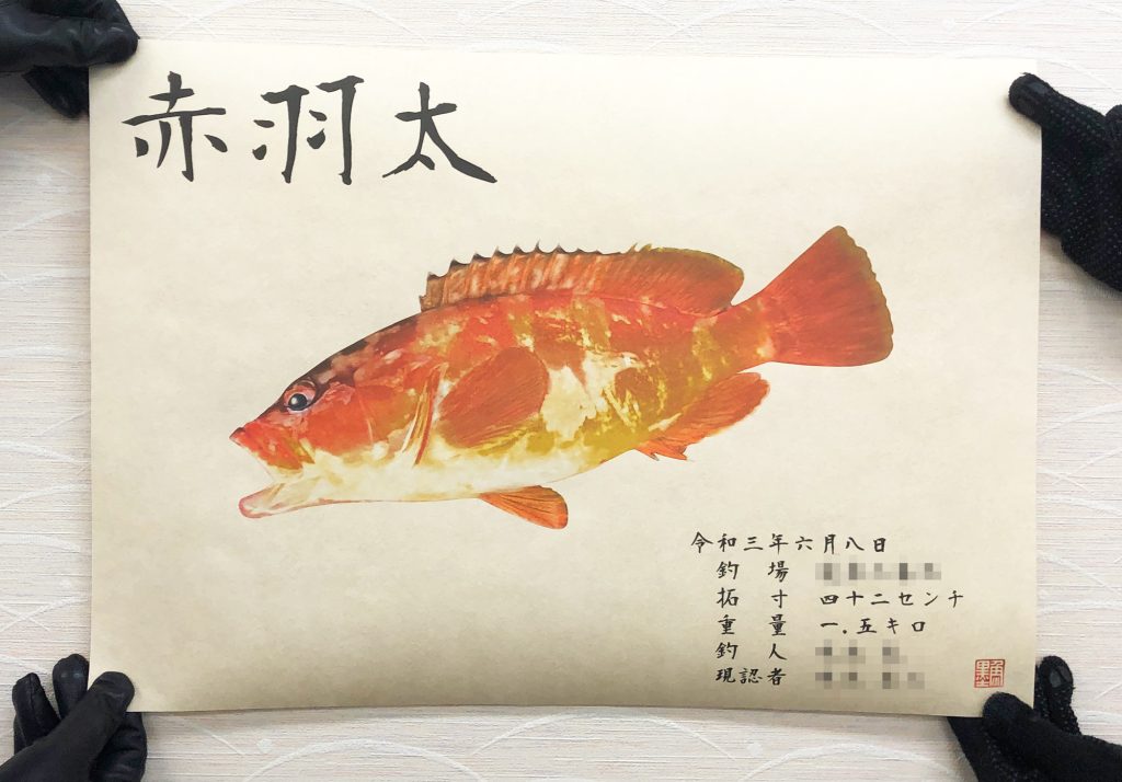 アカハタ(カラー魚拓)印刷後