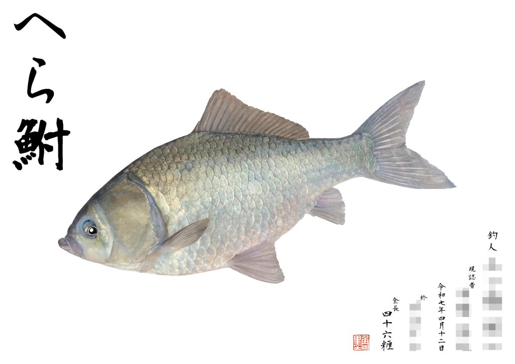 ヘラブナ(カラー魚拓)