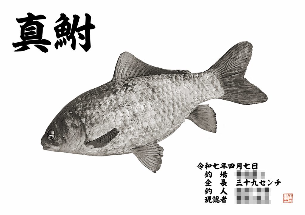マブナ(墨魚拓)