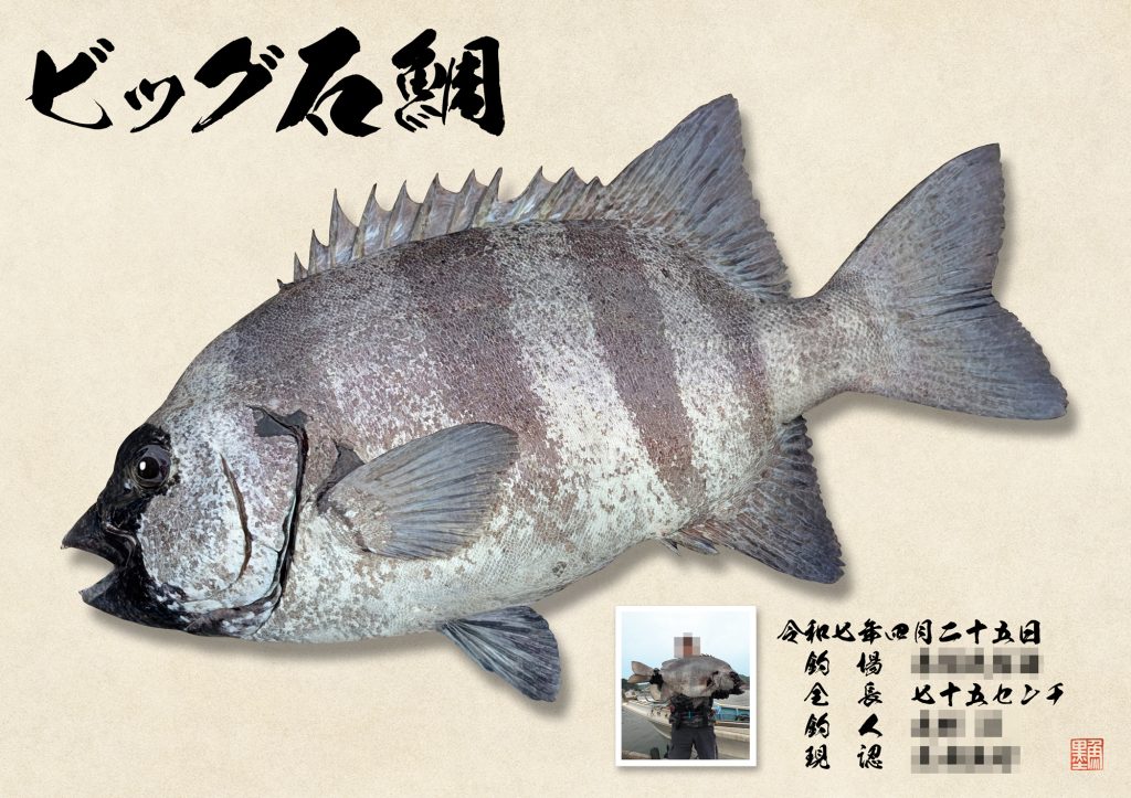 石鯛(リアル魚拓)