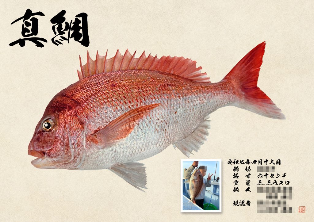 真鯛（カラー魚拓）写真あり
