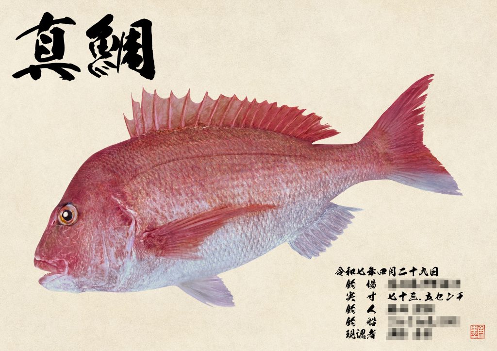 真鯛（カラー魚拓）