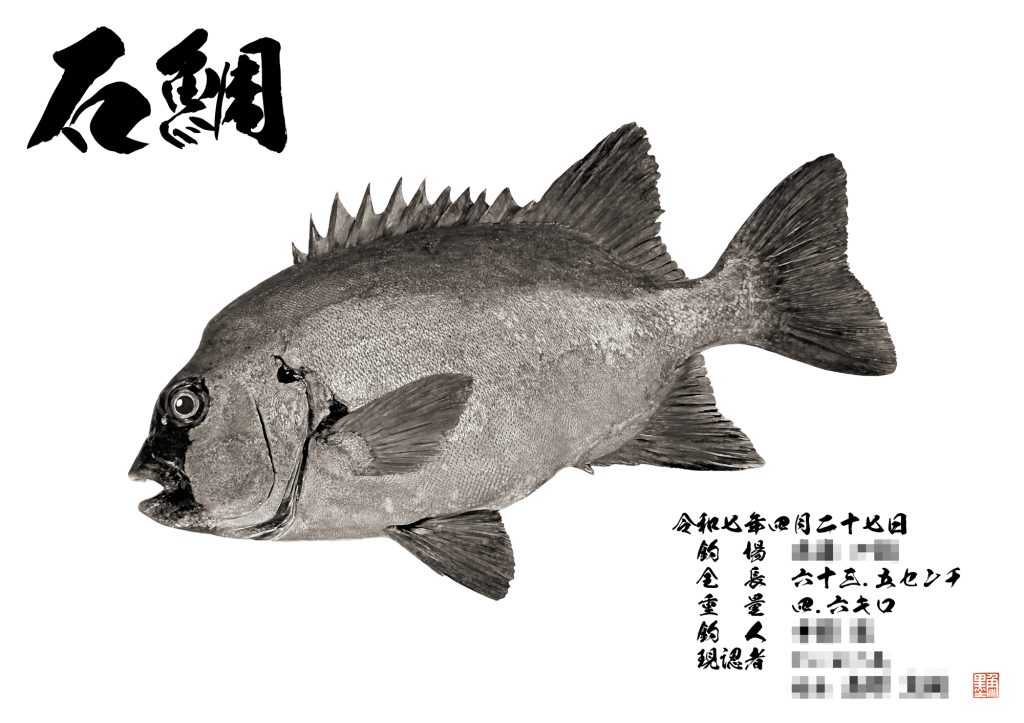 石鯛(墨魚拓)