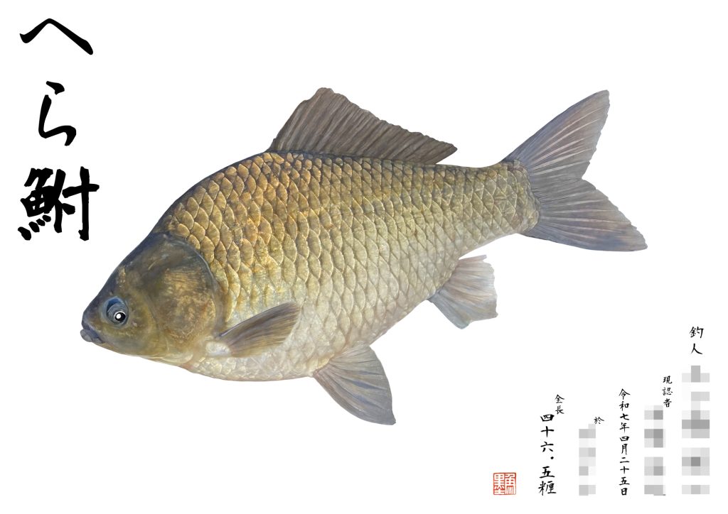 ヘラブナ(カラー魚拓)