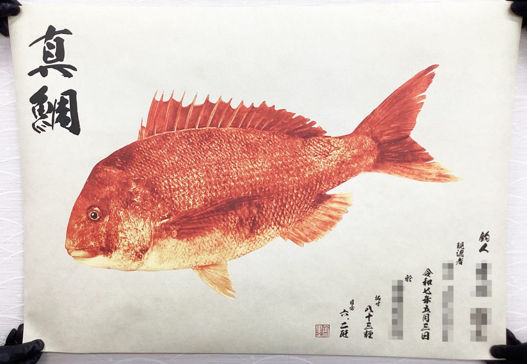 真鯛(朱色魚拓)印刷後