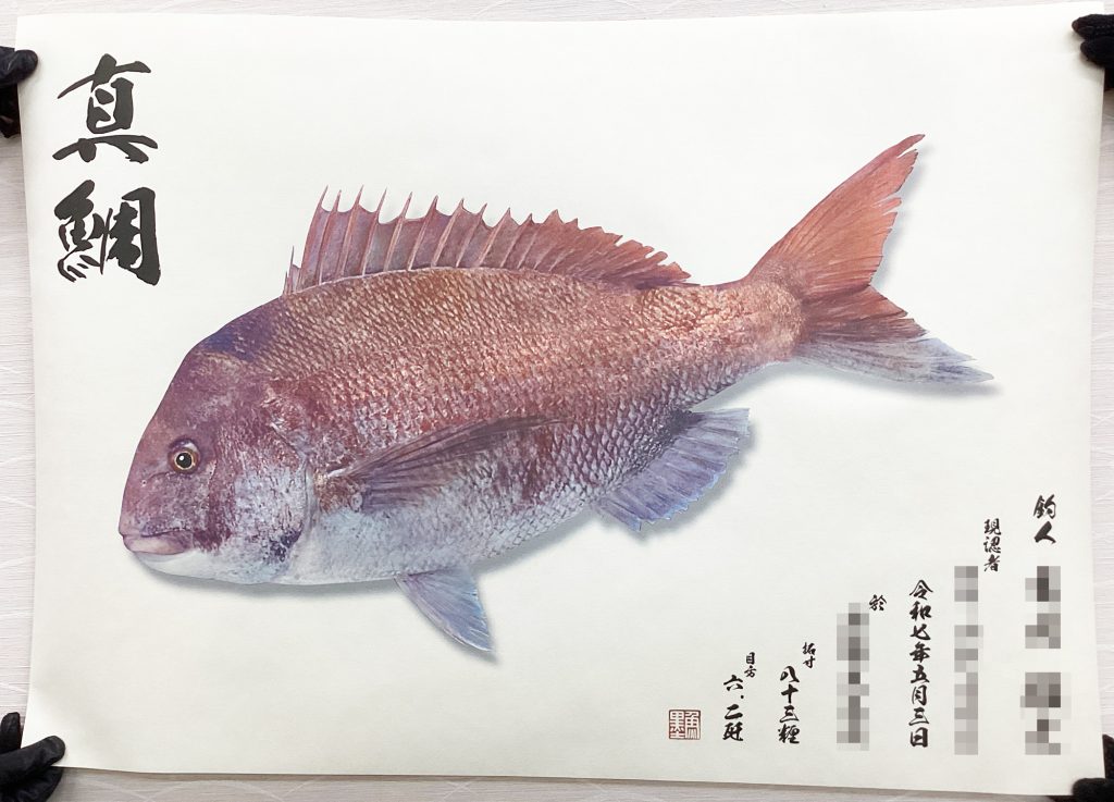 真鯛(リアル魚拓)印刷後