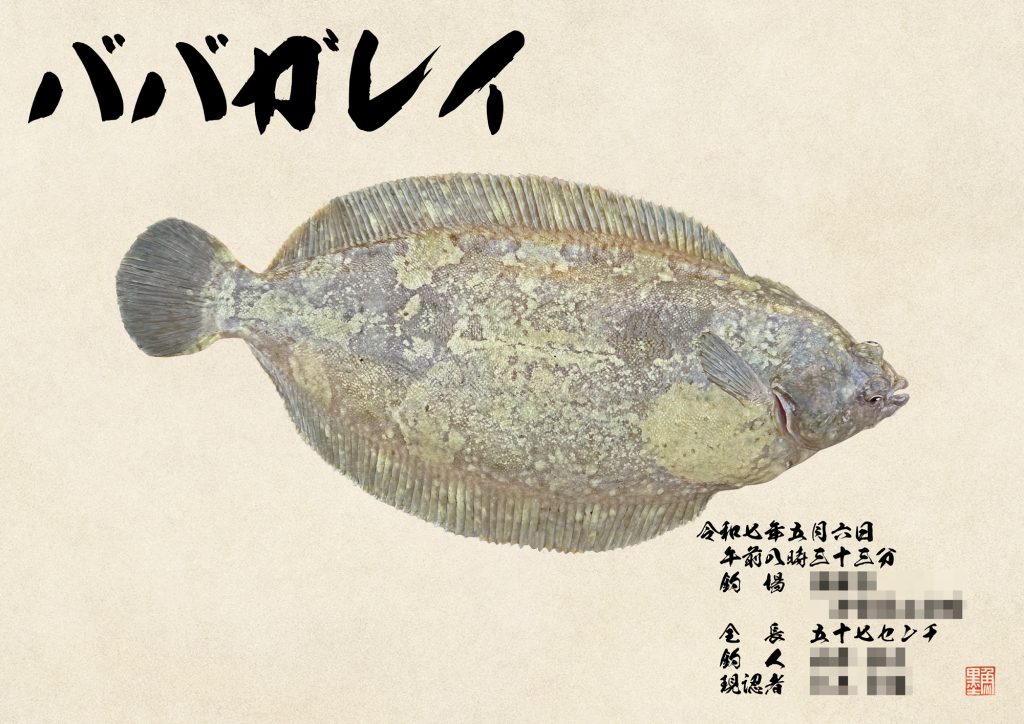 ババガレイ(カラー魚拓)