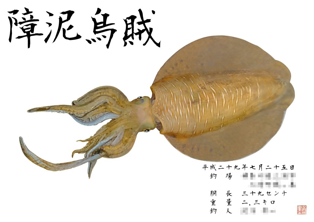 アオリイカ(カラー魚拓)