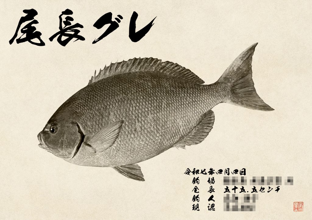 尾長グレ(墨魚拓)