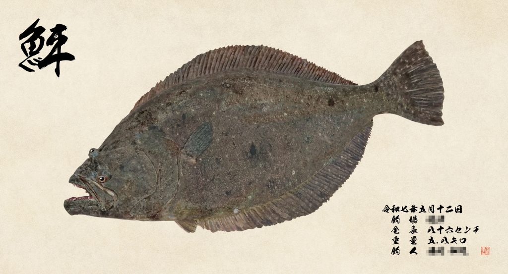 ヒラメ(カラー魚拓)