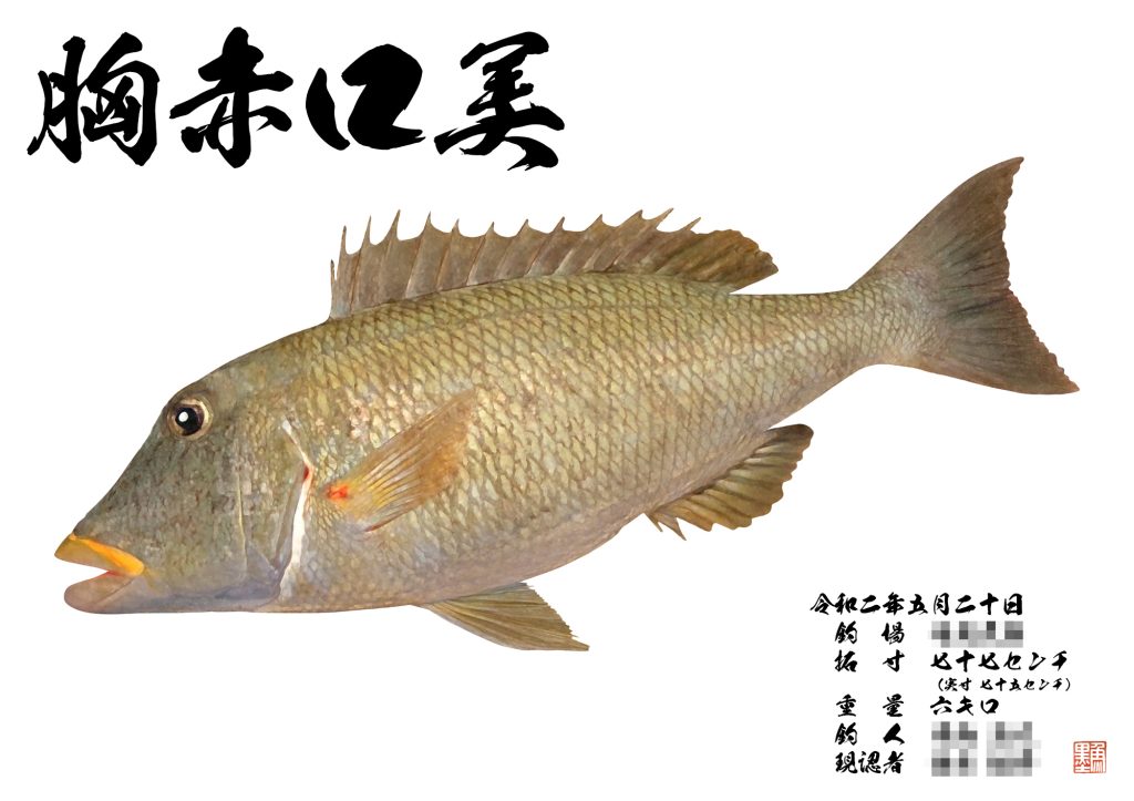 ムネアカクチビ(カラー魚拓)