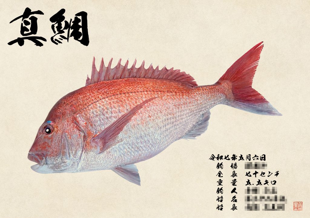 真鯛(カラー魚拓)