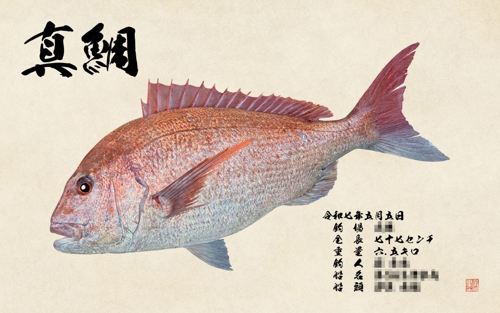 真鯛(カラー魚拓)