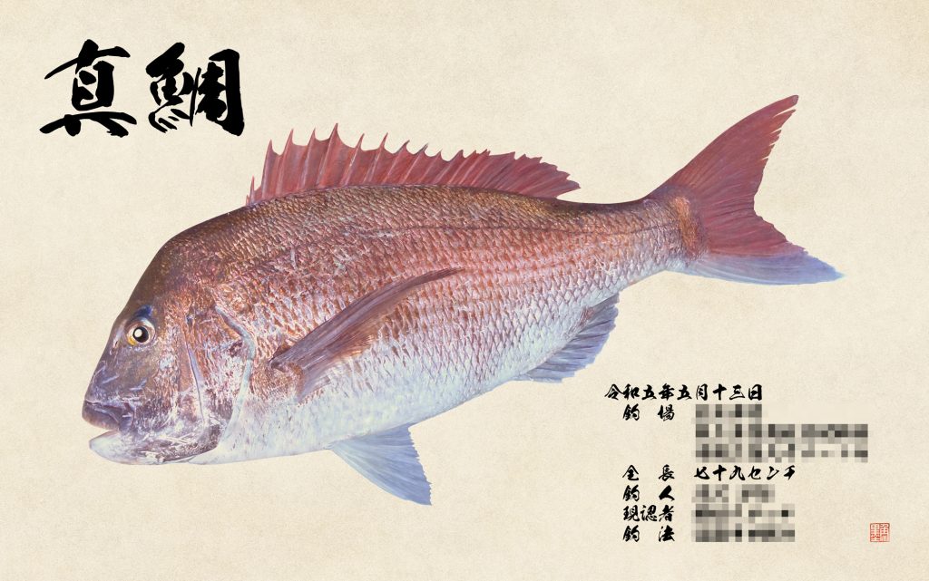 真鯛(カラー魚拓)