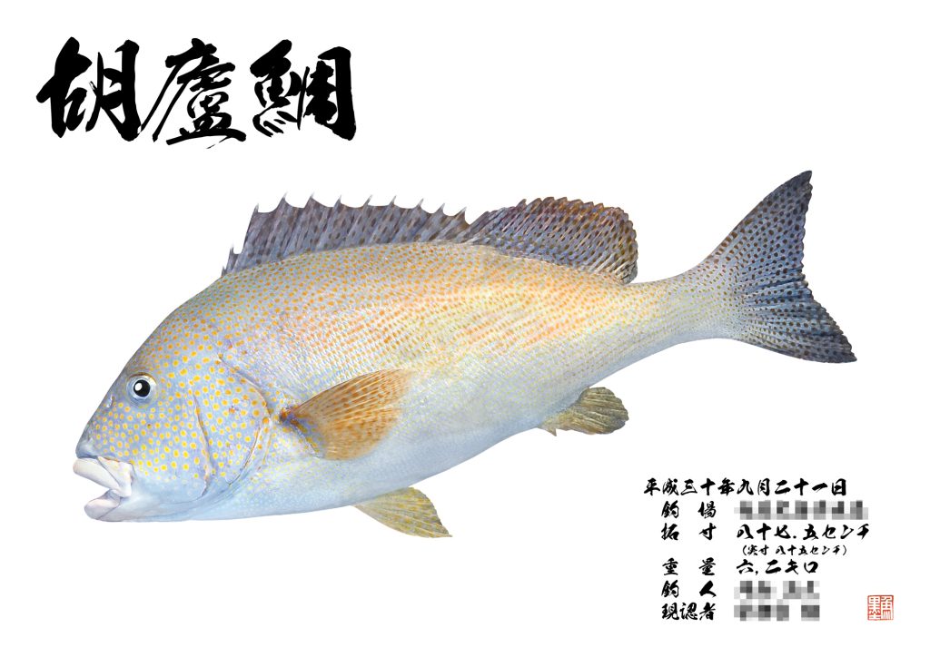コロダイ(カラー魚拓)