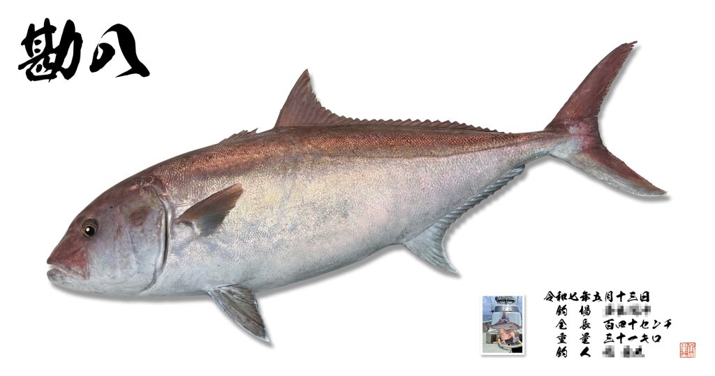 カンパチ(リアル魚拓)