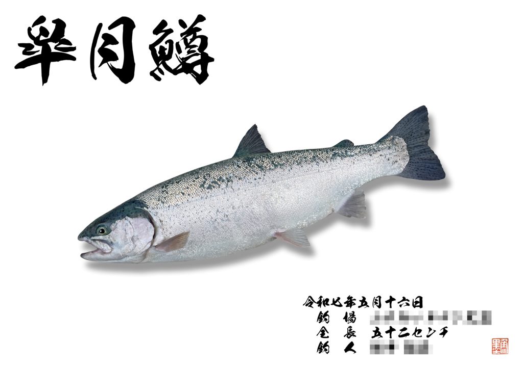 サツキマス(カラー魚拓)