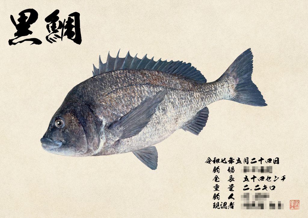黒鯛（カラー魚拓）