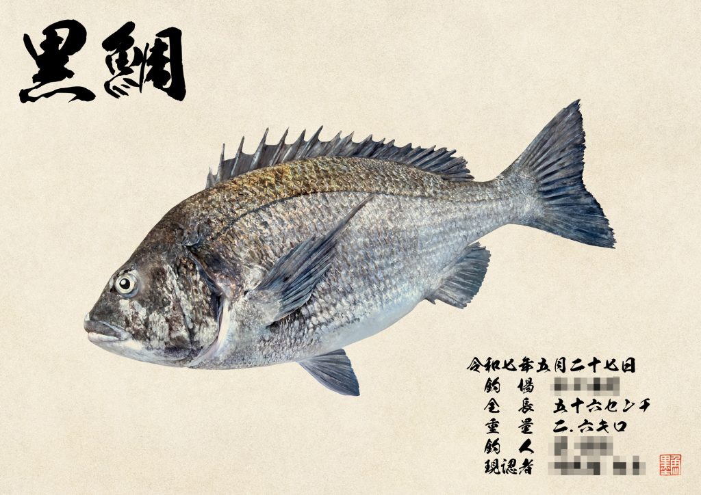 黒鯛（カラー魚拓）