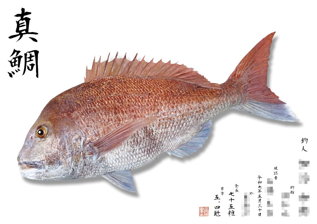 真鯛（リアル魚拓）
