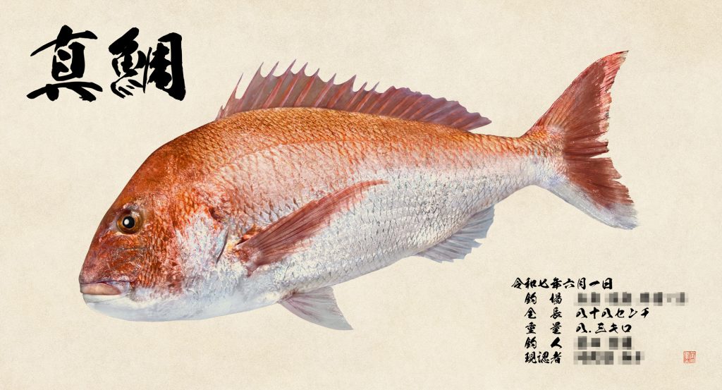 真鯛(カラー魚拓)