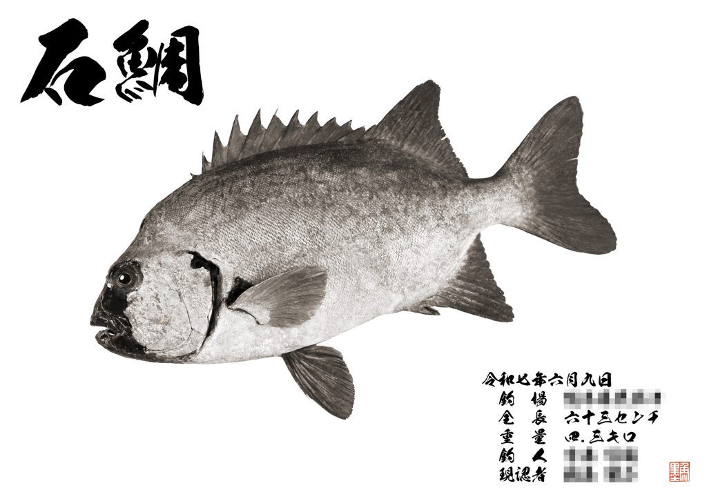 石鯛(墨魚拓)