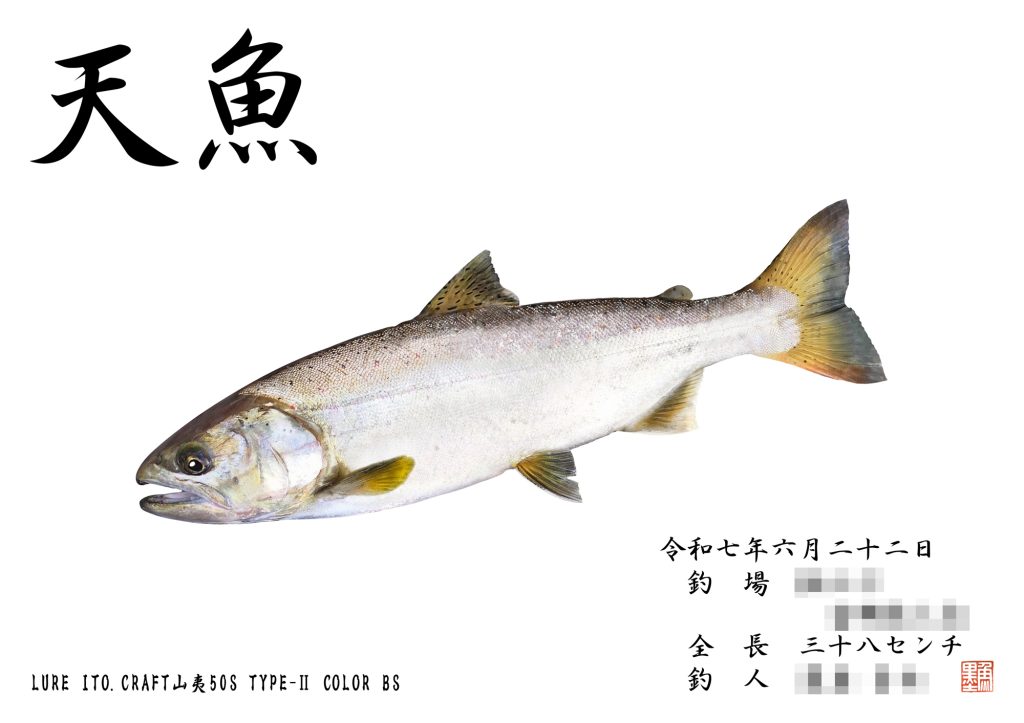 アマゴ(カラー魚拓)