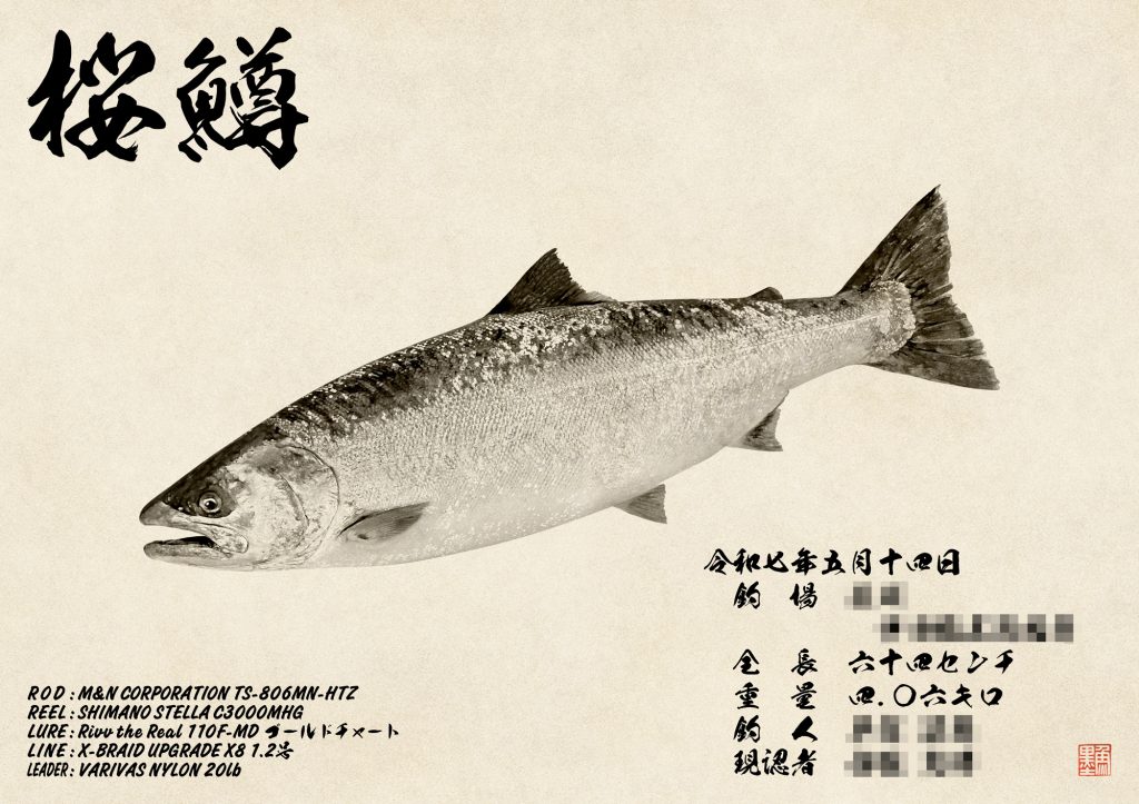 サクラマス(墨魚拓)