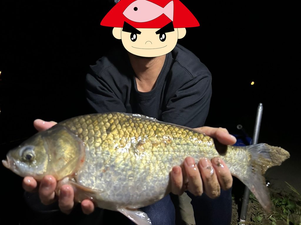 ヘラブナ（墨魚拓）元画像