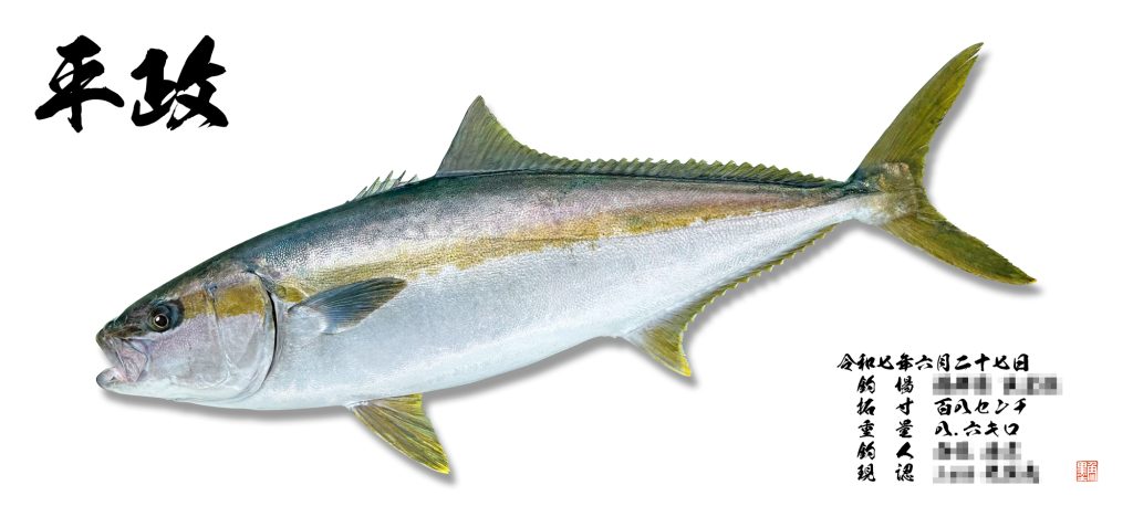 ヒラマサ（リアル魚拓）