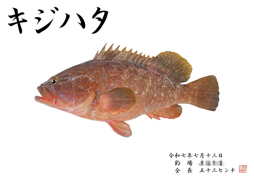 キジハタ(カラー魚拓)