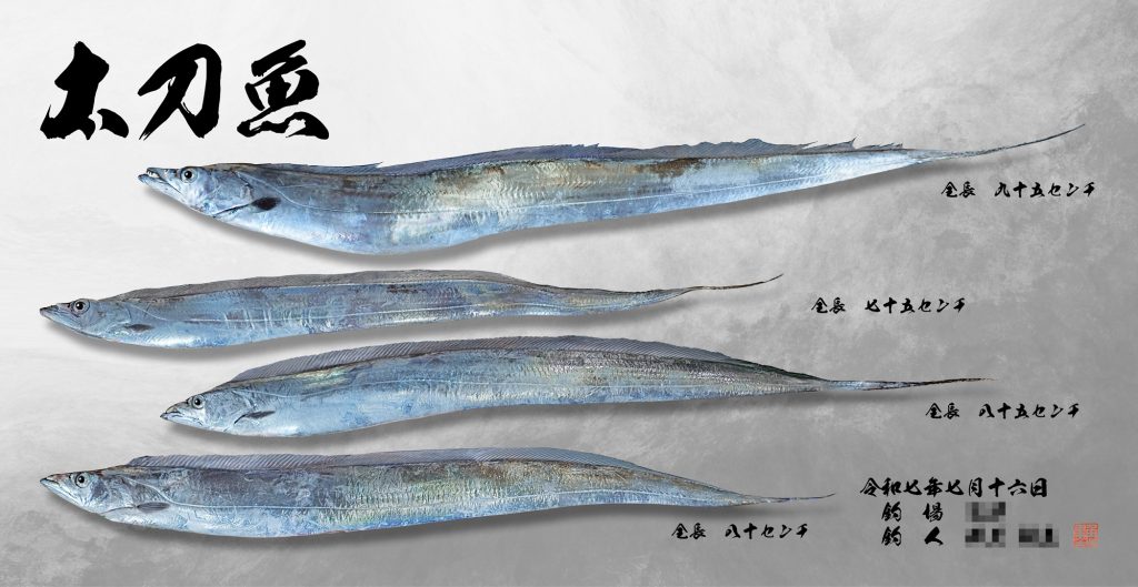 太刀魚（リアル魚拓）