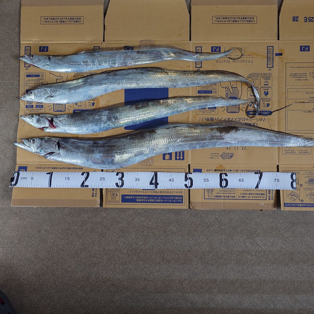 太刀魚（墨魚拓・リアル魚拓）元画像