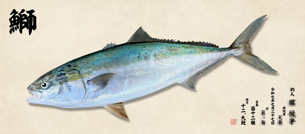 ブリ（リアル魚拓）
